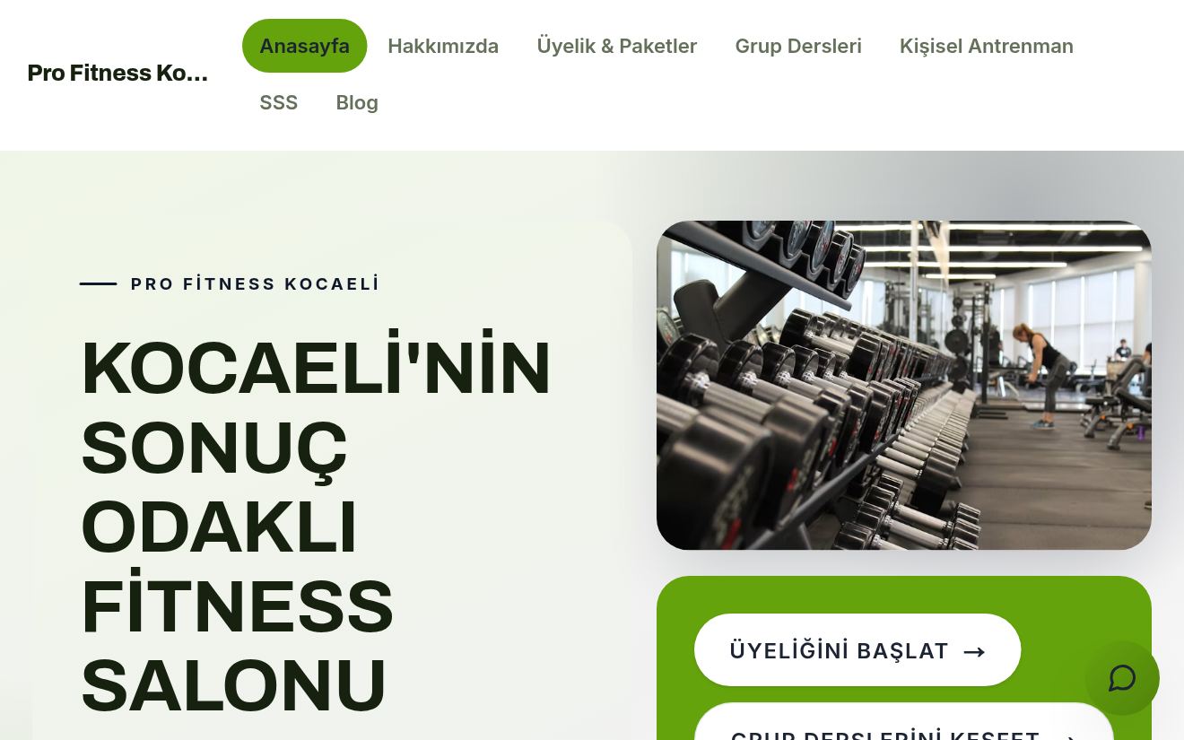 Pro Fitness Kocaeli ana sayfa görünümü — Spor Salonu demosu
